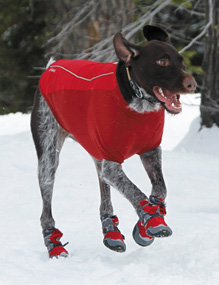 Hondenschoentjes van Ruff Wear zijn de absolute top onder de schoentjes. Uitstekende pasvorm, vervaardigt van moderne ademende materialen zorgen voor comfort ook bij honden met wonden aan de poten of artrose
