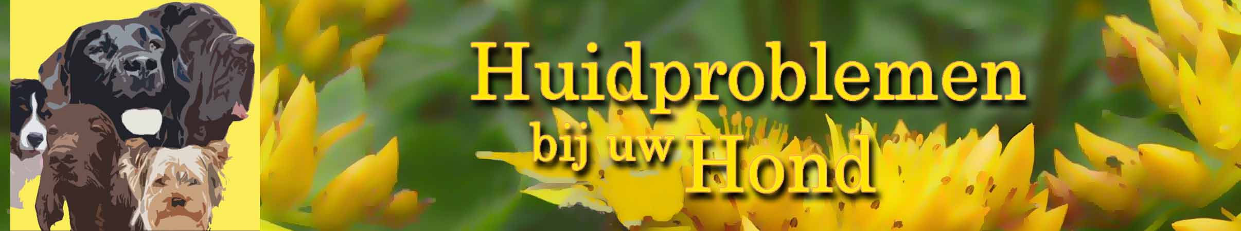 Kale plekken bij de hond, huidproblemen, vachtproblemen, zijn uitstekend te behandelen met onderstaande homeopatische geneesmiddelen