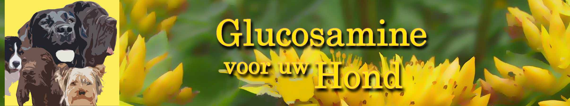 Glucosamine complex voor honden, en chondroitine voor de hond van de Groene Os