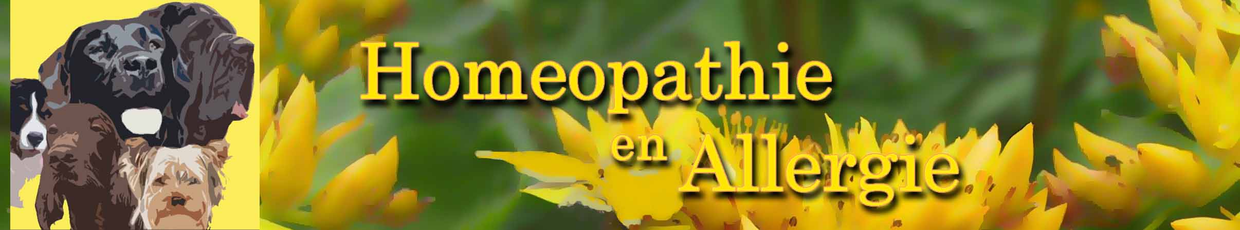 Allergie bij honden uit zich in huidproblemen.Allergische huidproblemen behandelen met homeopathie