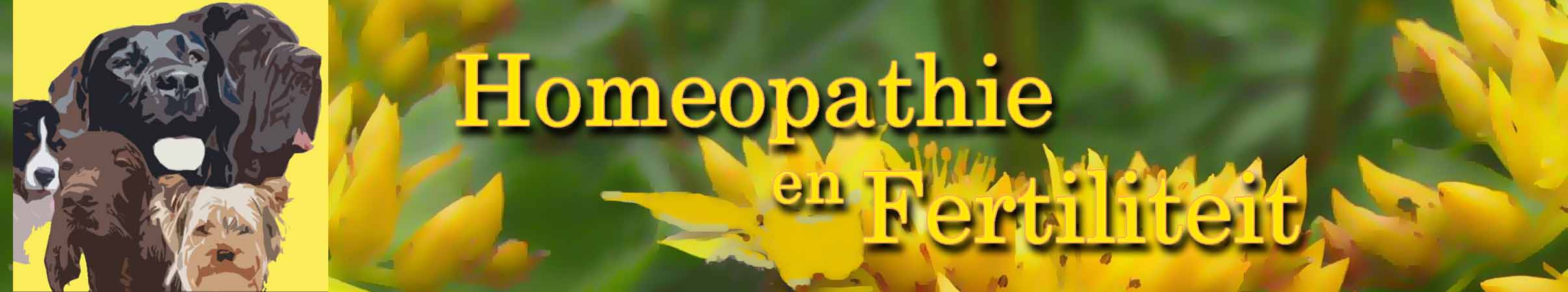 Homeopathie voor schijnzwangerschap, baarmoederproblemen en slecht drachtig worden van de hond