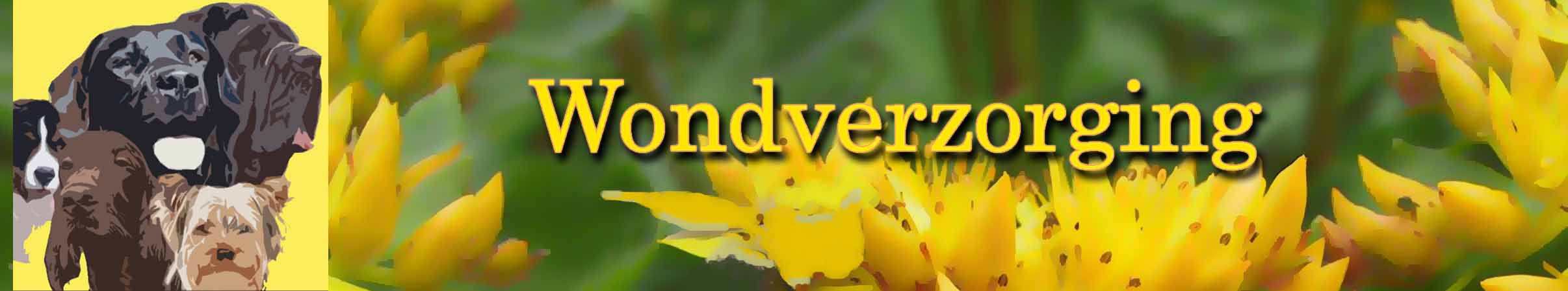 Homeopathische wondzalf voor honden geneest slecht helende wonden, hot spot en eczeem